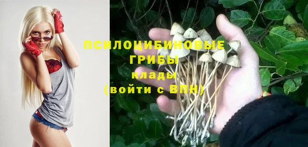 винт Белокуриха